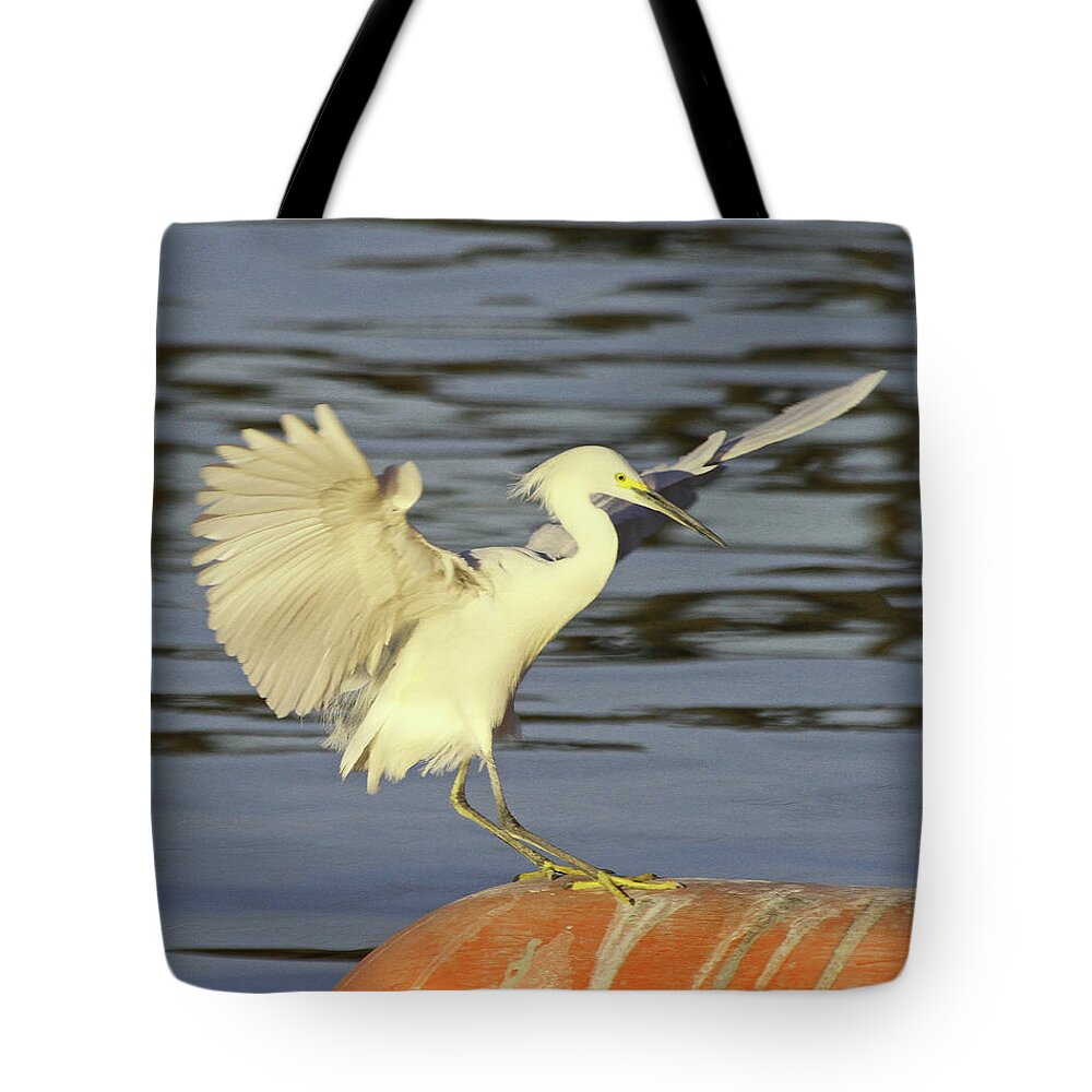 Egret Lands On Buoy At Tempe Town Lake Tote Bag featuring the digital art Egret Lands On Buoy At Tempe Town Lake by Tom Janca
