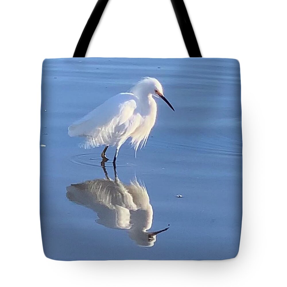 Ocean Tote Bag featuring the photograph Egret Reflection by Sandy Rakowitz