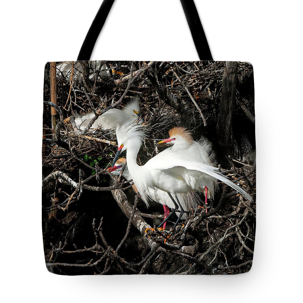 Egrets Tote Bag featuring the photograph Egret with Two Teens by Faith Burns