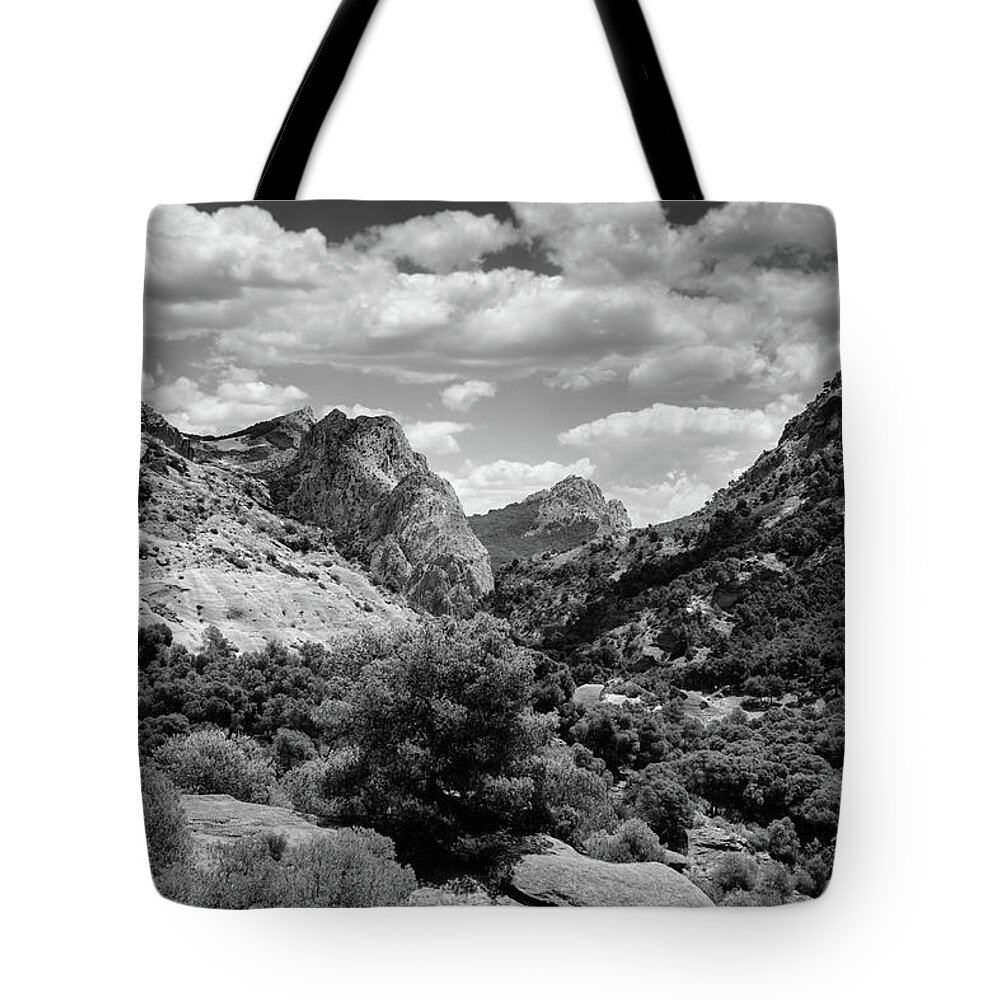 Adventure Tote Bag featuring the photograph El Chorro by Gary Browne