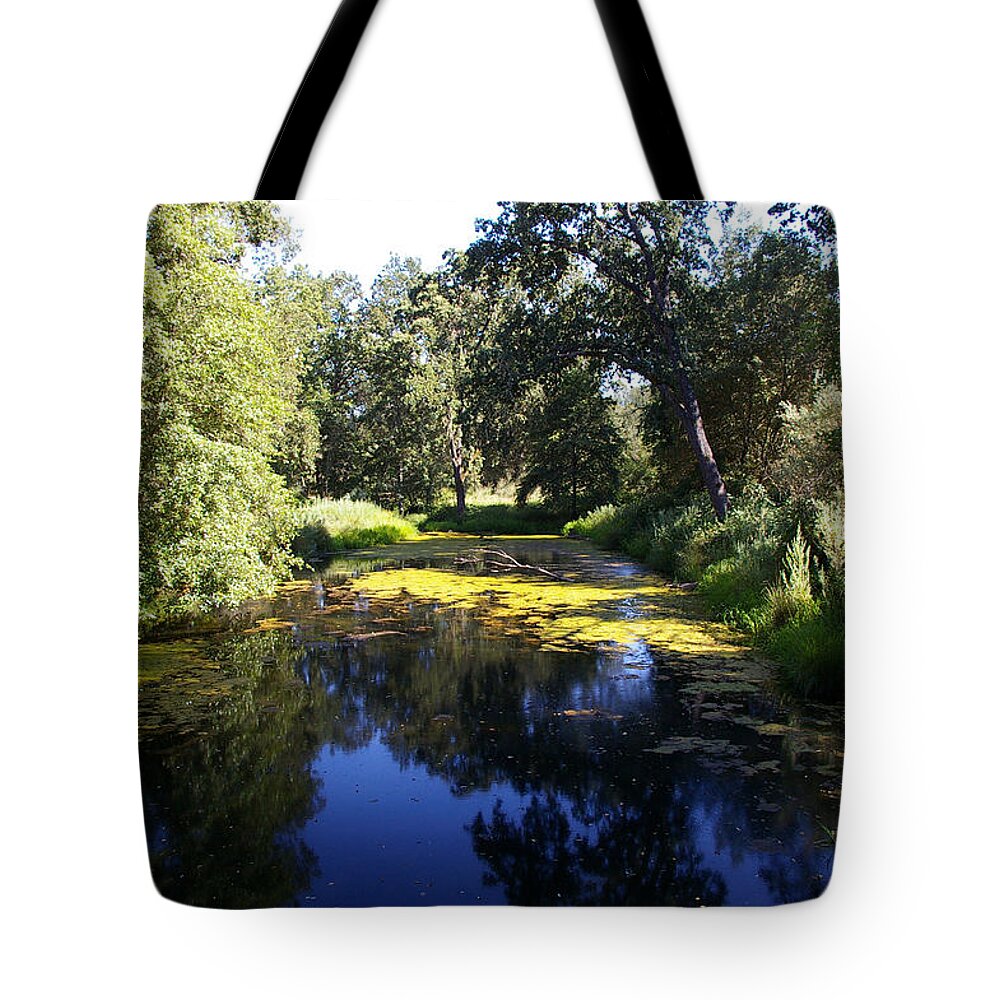  Tote Bag featuring the photograph El Dorado Irrigation by Kristy Urain