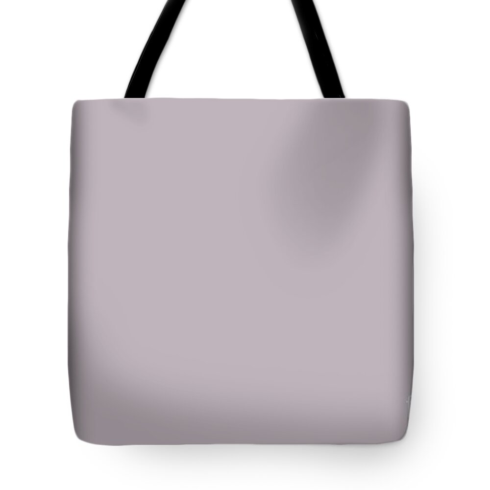 Elegance Light Pastel Purple Grey Solid Color Pairs To Sherwin