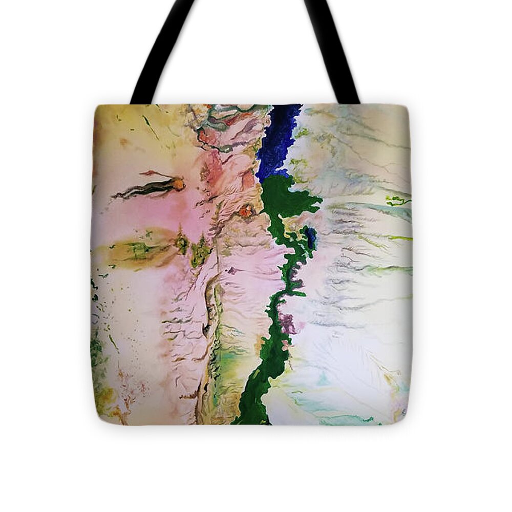 Environmental Artists Tote Bag featuring the painting Elephant Butte Reservoir 2011 by Rowan Lyford