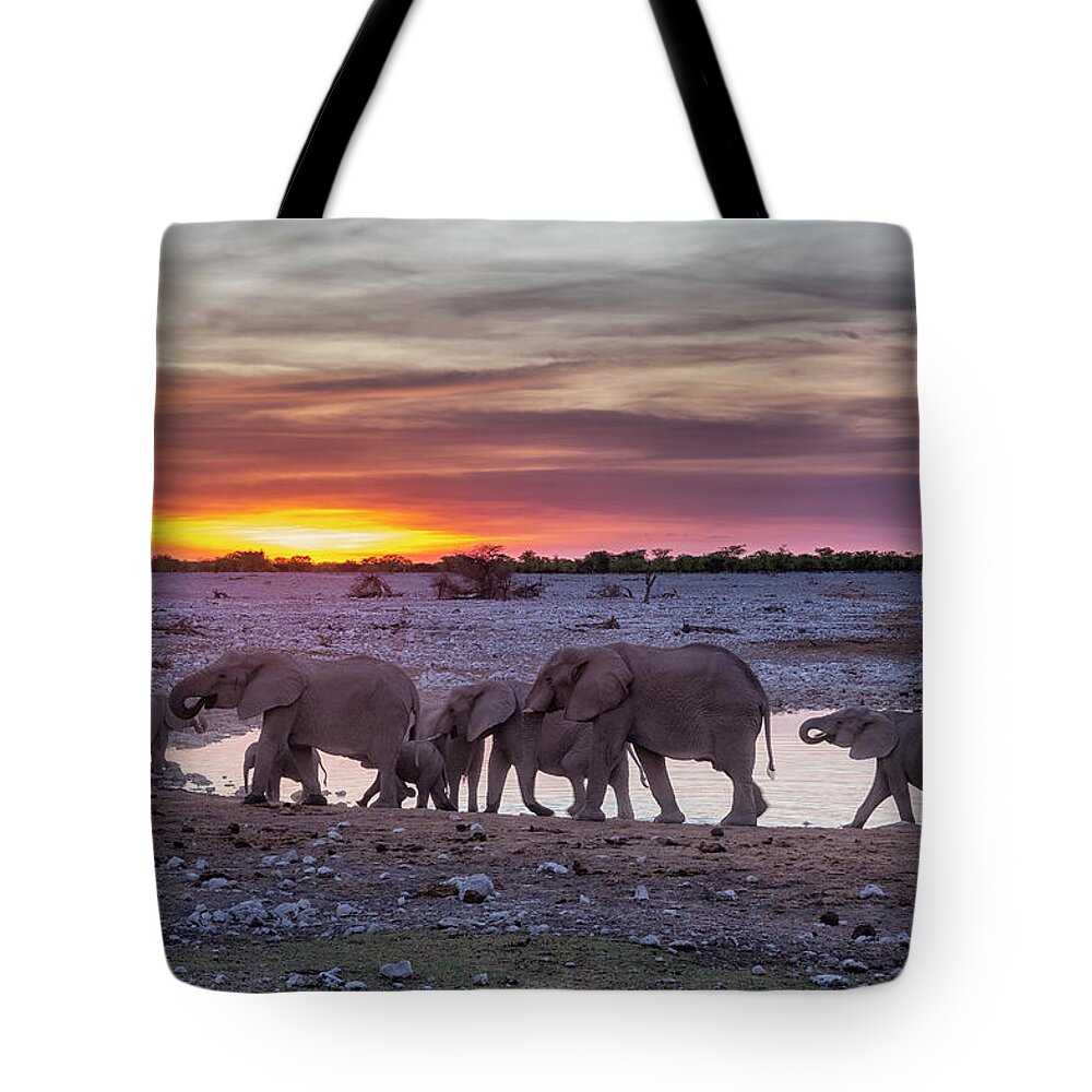 Elephants Tote Bag featuring the photograph Elephant Herd at Okaukuejo Waterhole at Sunset by Belinda Greb