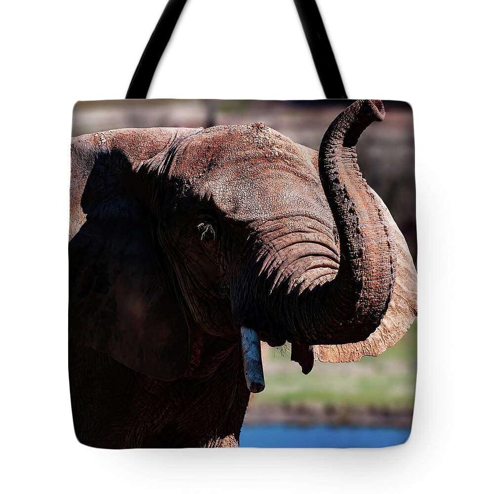 Elephant Portrait Tote Bag featuring the photograph Elephant Portrait 001 by Flees Photos