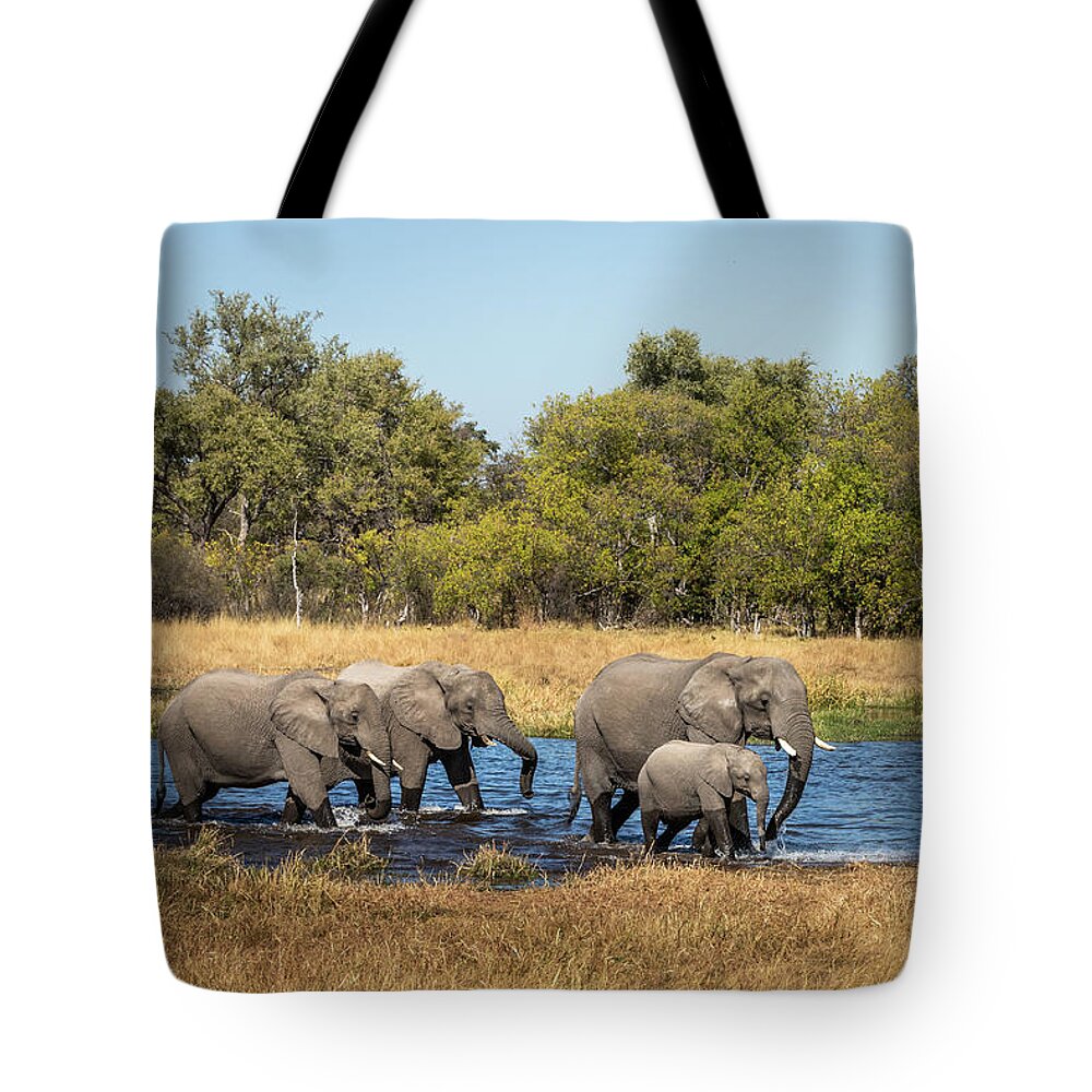 African Elephants Tote Bag featuring the photograph Elephants Crossing the River by Elvira Peretsman