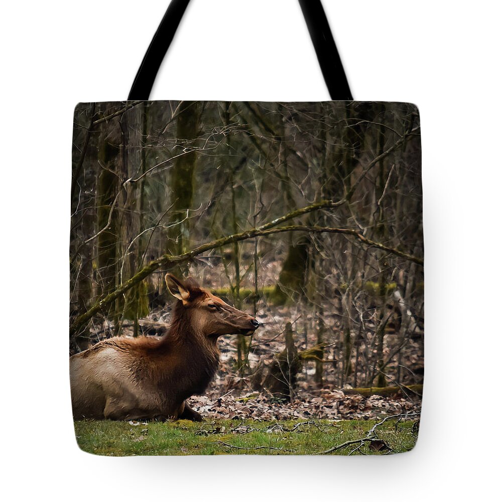 Wildlife Tote Bag featuring the photograph Elk Relaxing by Rick Nelson