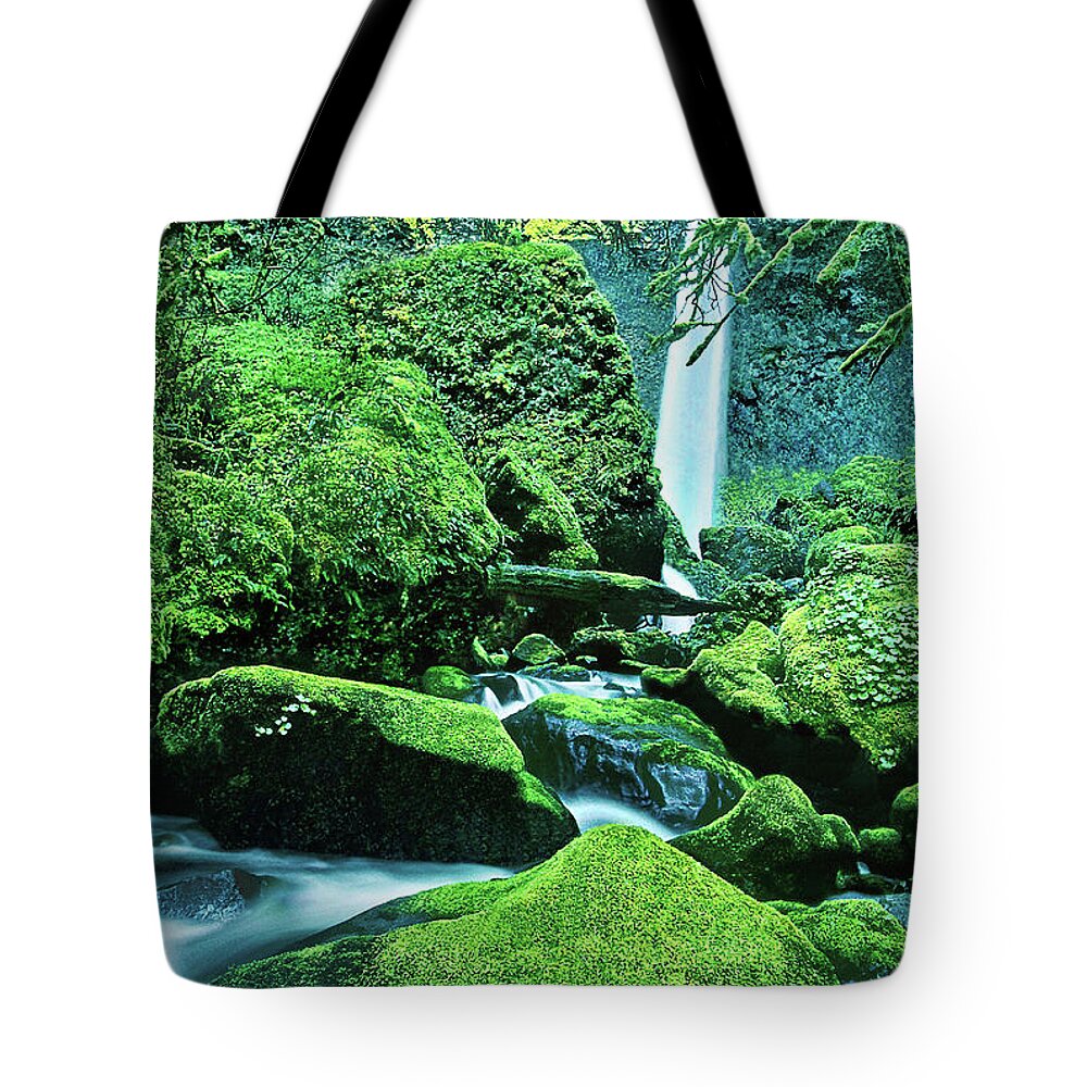 Dave Welling Tote Bag featuring the photograph Elowah Falls 4 Columbia River Gorge National Scenic Area Oregon by Dave Welling