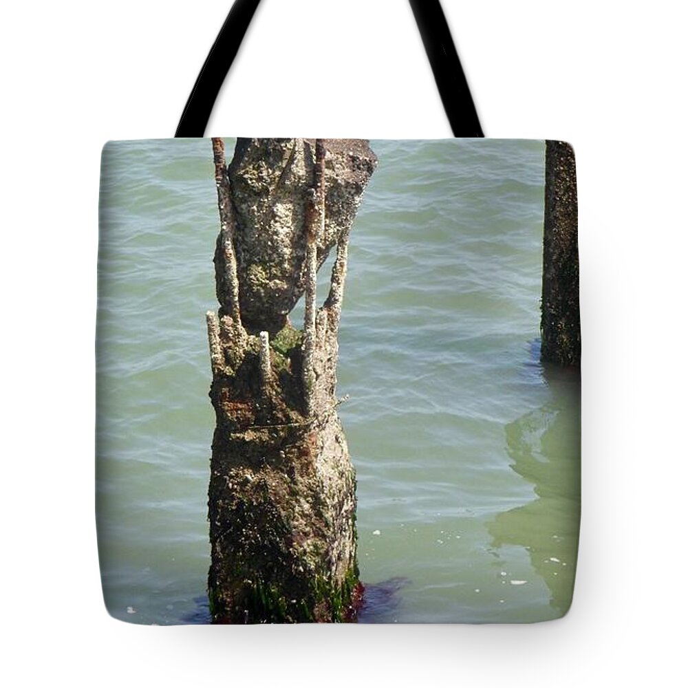 Decay Tote Bag featuring the photograph Embarcadero SF 1-1 by J Doyne Miller