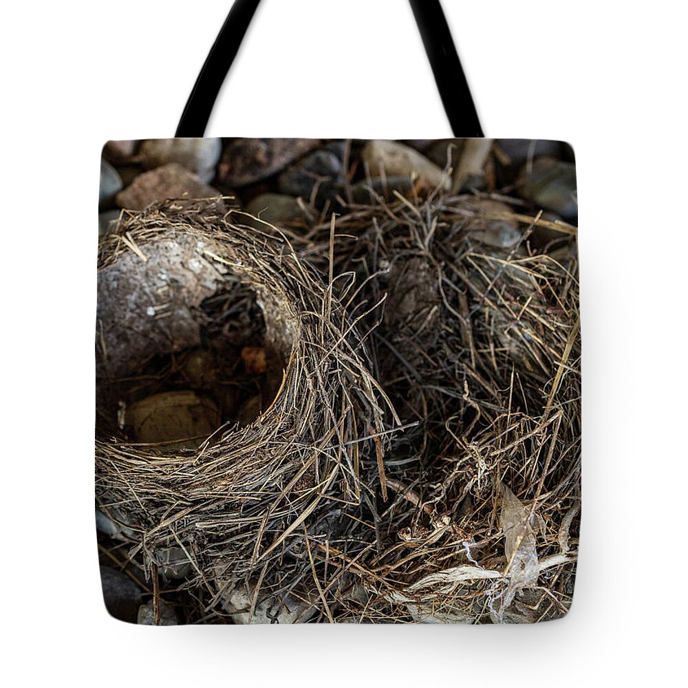 Animals Tote Bag featuring the photograph Empty Nest - Wildlife Photography 2 by Amelia Pearn