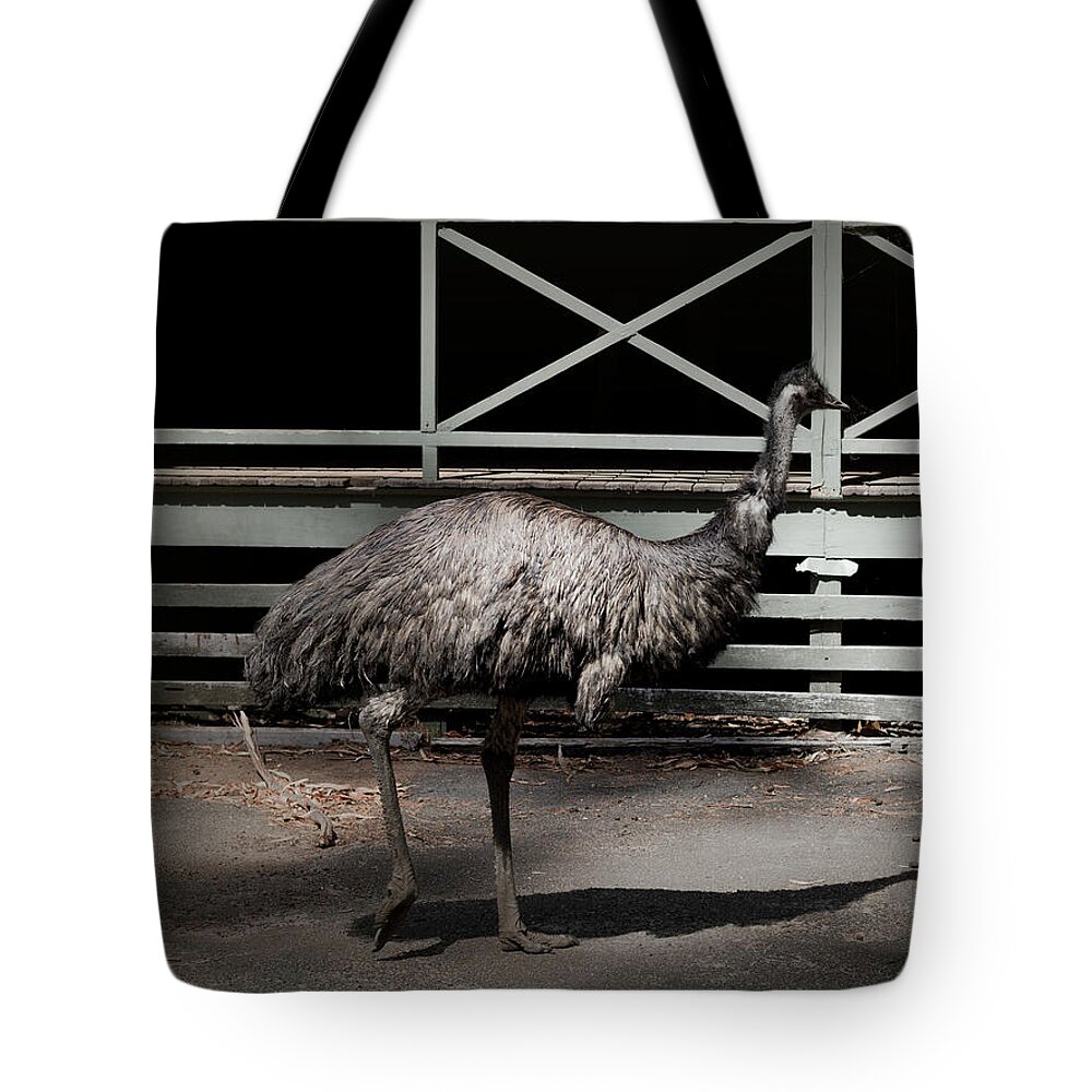 Emu Tote Bag featuring the photograph Emu in Profile by Elaine Teague