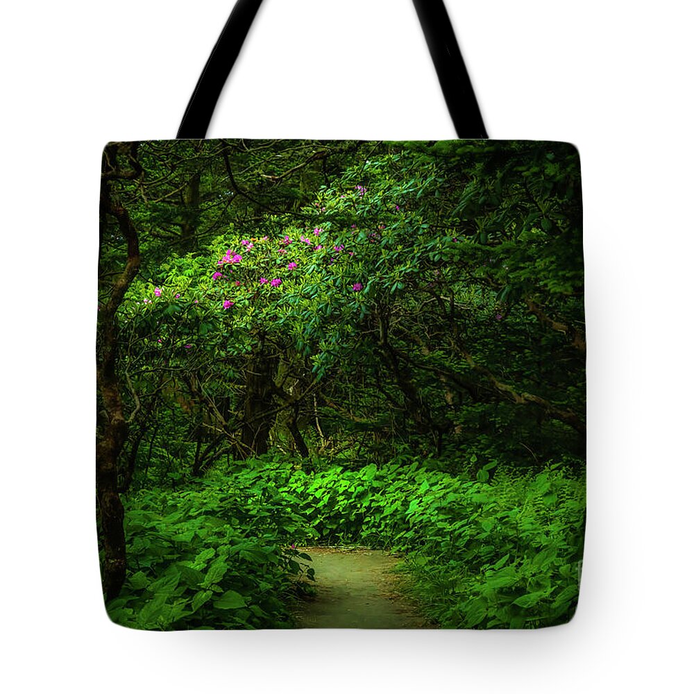 Rhododendron Tote Bag featuring the photograph Enchanted Forest at Roan Mountain by Shelia Hunt