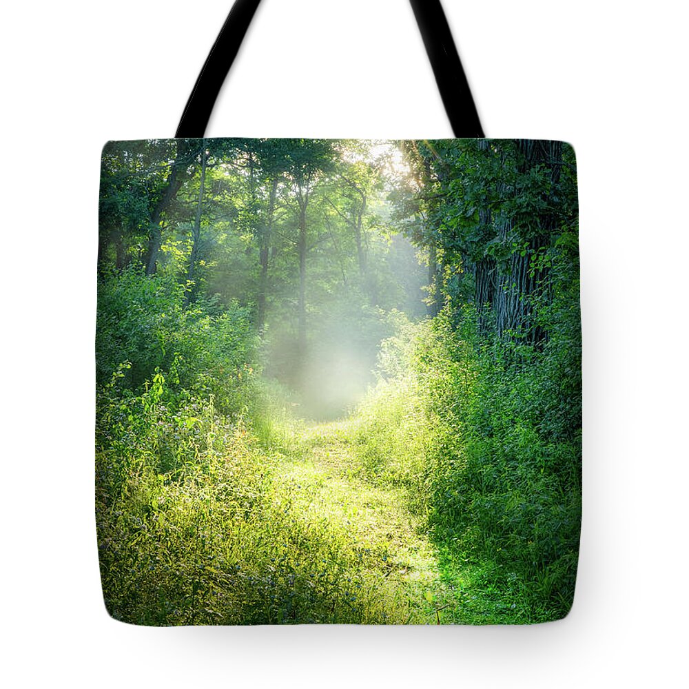 Path Tote Bag featuring the photograph Enchanting by Brad Bellisle