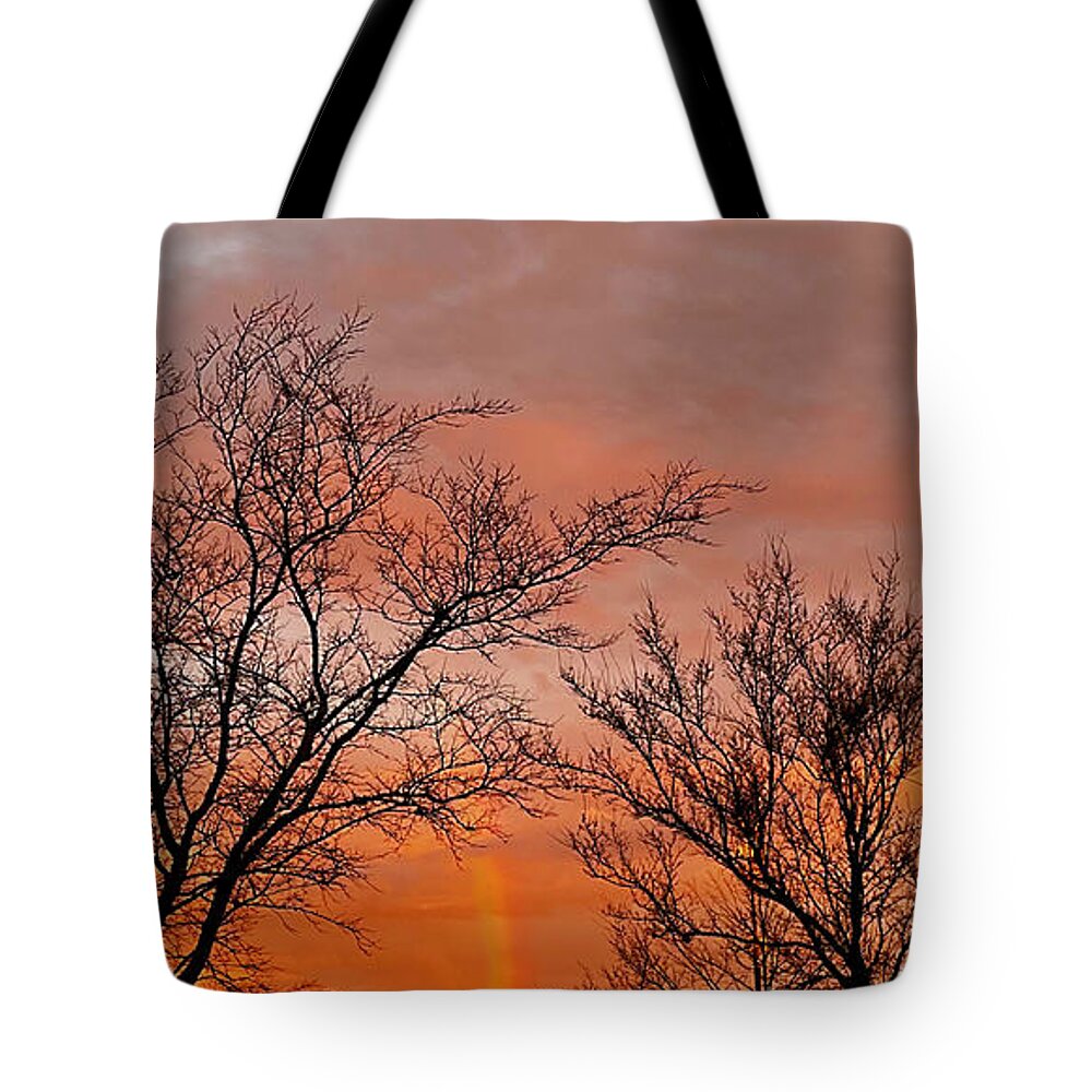 Rainbow Tote Bag featuring the photograph End of the Rainbow by Lee Darnell