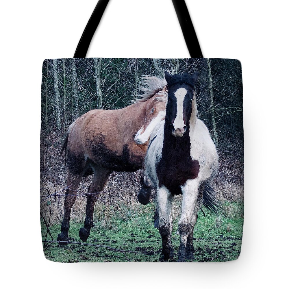 Paint Horse Tote Bag featuring the photograph Energy by Listen To Your Horse