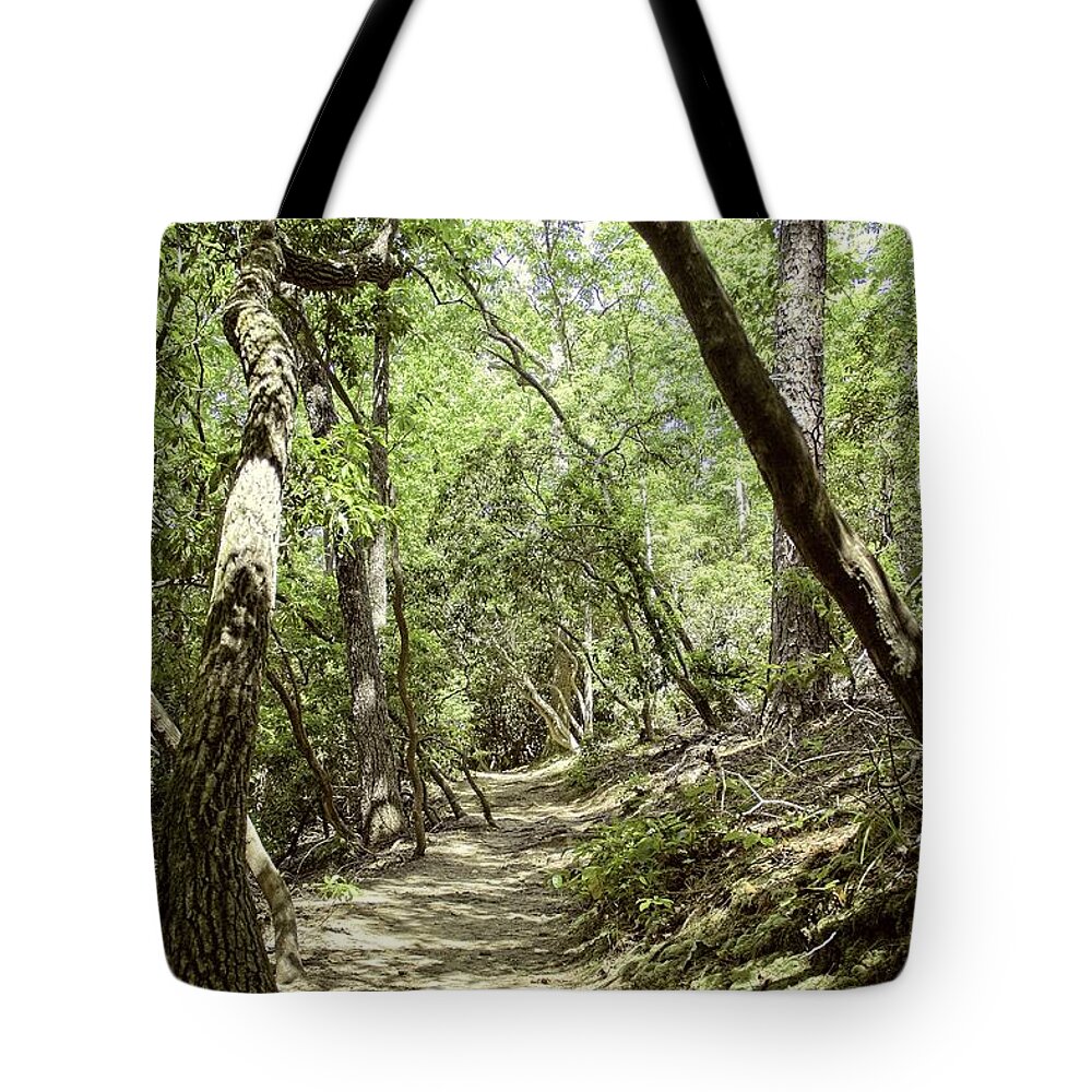 Path Tote Bag featuring the photograph Enjoy the Journey by Allen Nice-Webb