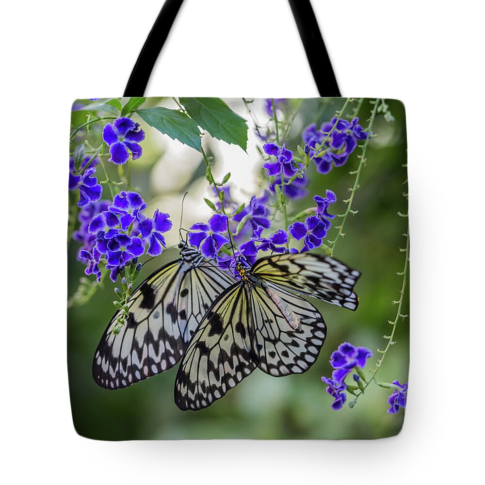 Idea Leuconoe Tote Bag featuring the photograph Enjoying Lunch Together by Eva Lechner