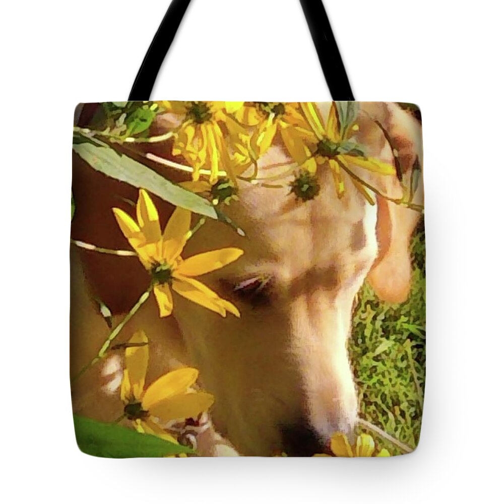 Dog Tote Bag featuring the photograph Enjoying Nature by Kim Galluzzo Wozniak