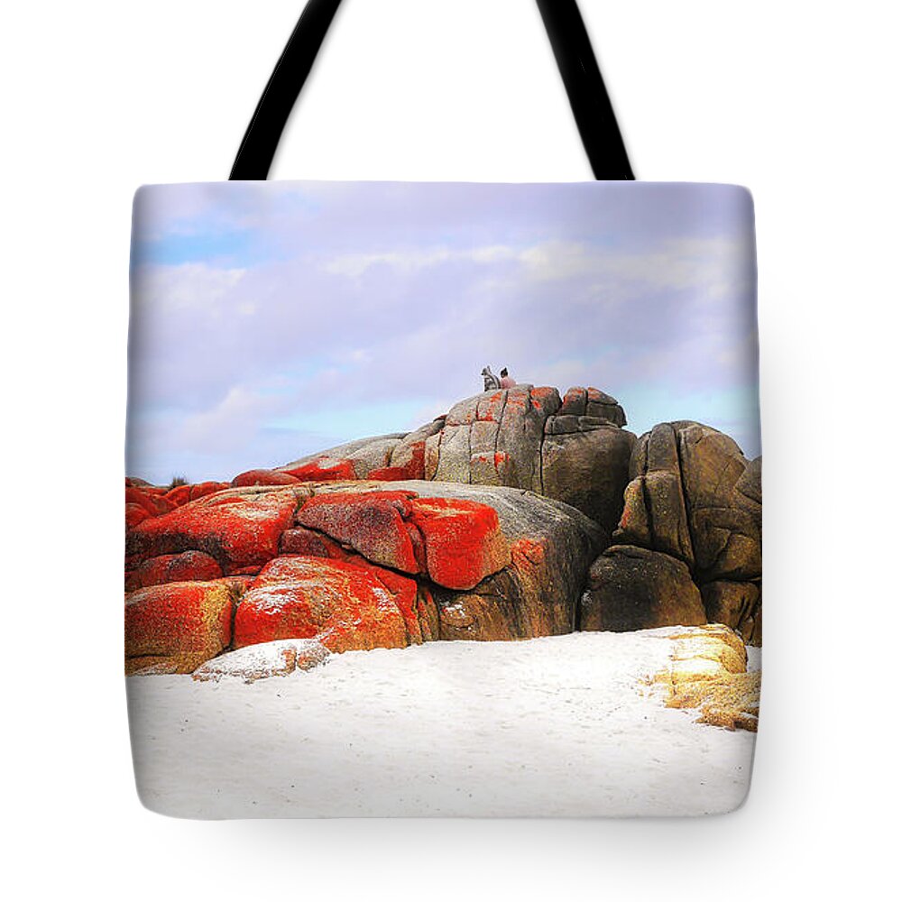 Tantalising Tasmania Series By Lexa Harpell Tote Bag featuring the photograph Enjoying the Moment Bay of Fires by Lexa Harpell