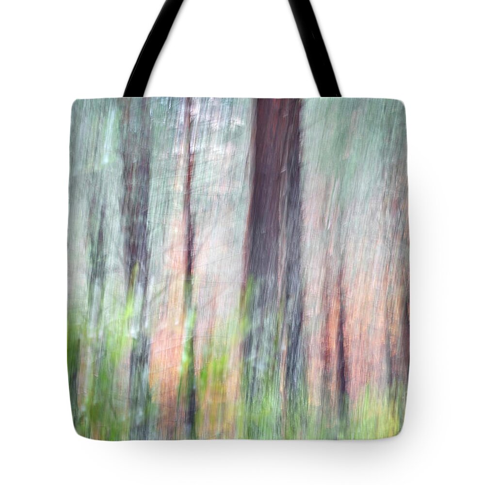 Forest Tote Bag featuring the photograph Ephemeral forest in fall by Hernan Bua