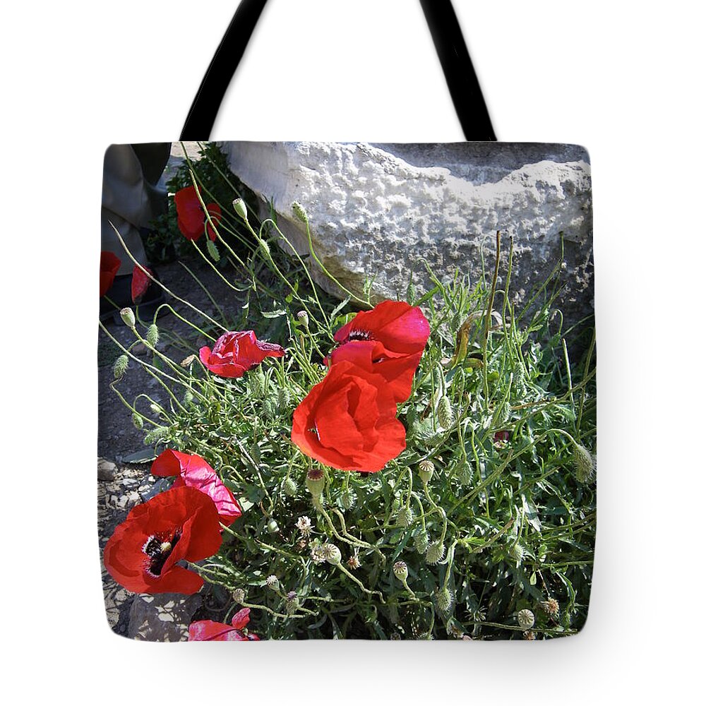 Poppies Tote Bag featuring the photograph Ephesus poppies by Lisa Mutch