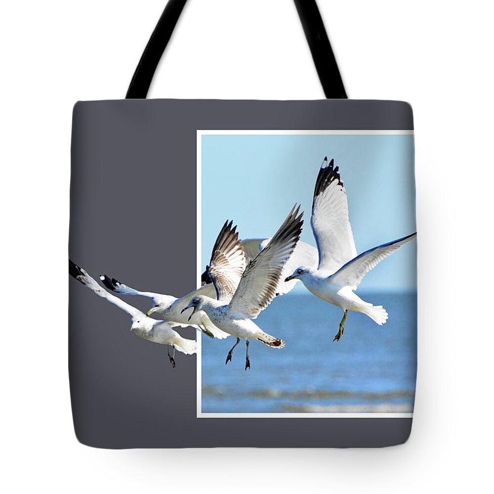 Seagulls Tote Bag featuring the photograph Escape Hole by Jerry Griffin