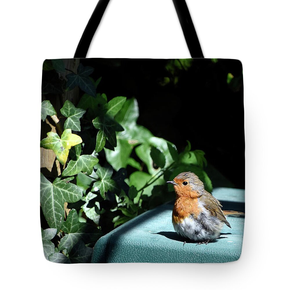 Robin Tote Bag featuring the photograph European robin Poole Dorset England by Loren Dowding