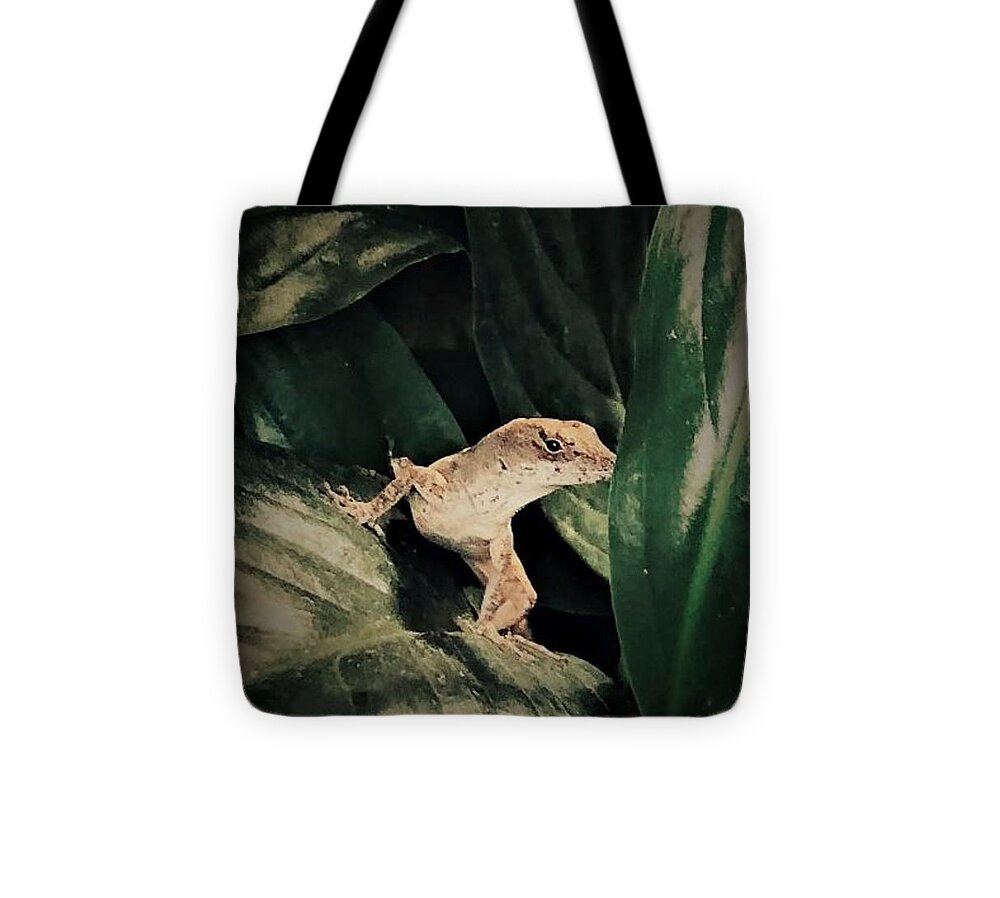 Animals St Augustine Beach Florida John Anderson Artist Tote Bag featuring the photograph Evening Adventures by John Anderson
