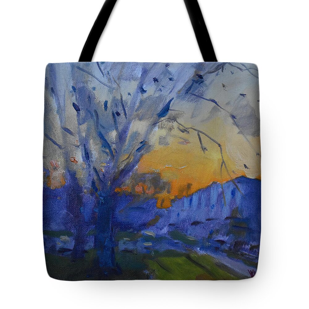 Evening Tote Bag featuring the painting Evening on my Backyard by Ylli Haruni