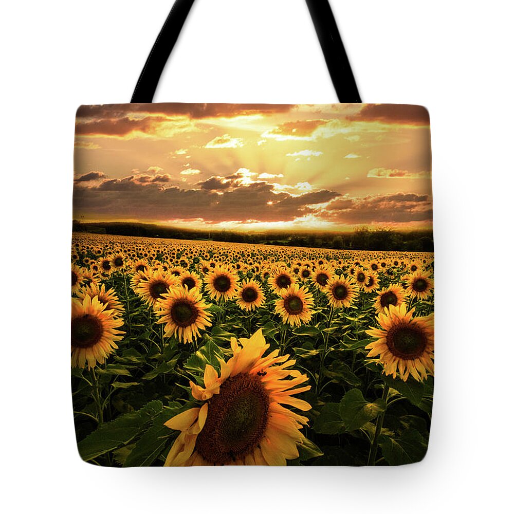Barns Tote Bag featuring the photograph Evening Sunset Sunflowers by Debra and Dave Vanderlaan