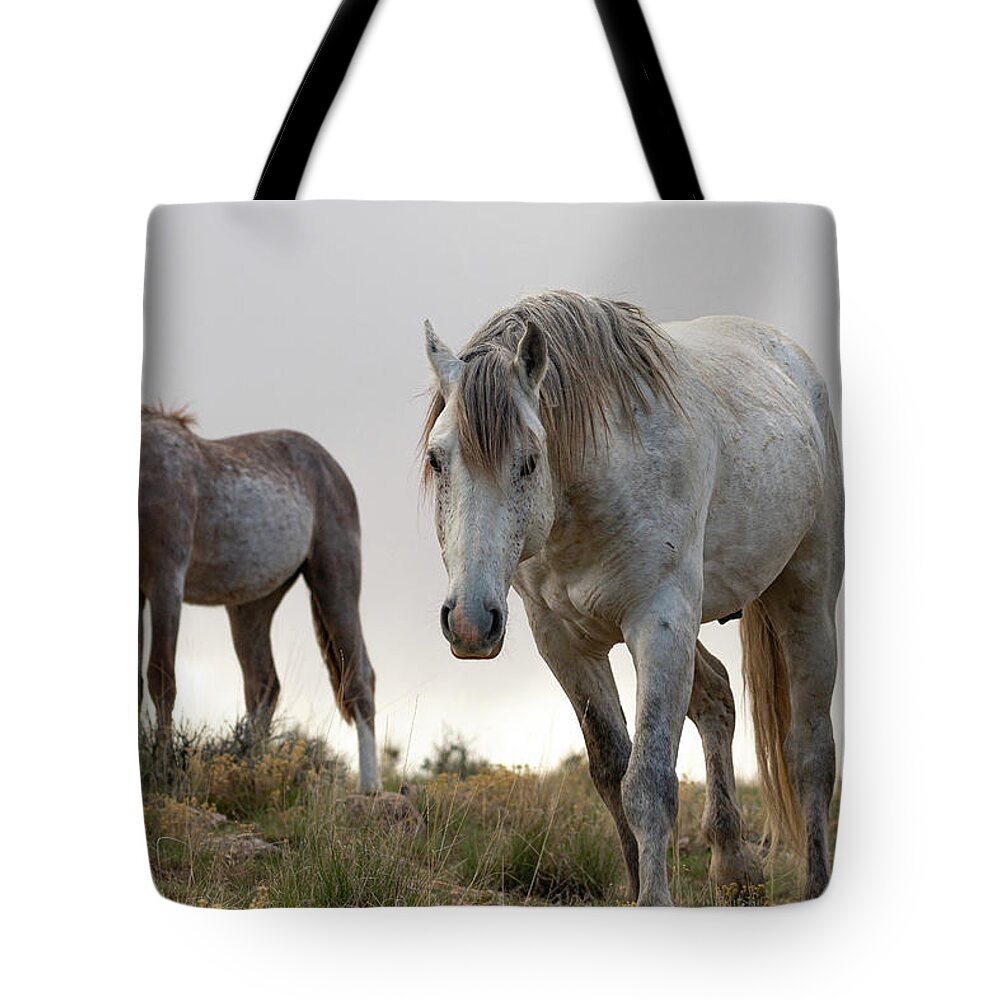 Wild Horses Tote Bag featuring the photograph Evening with friends by Mary Hone