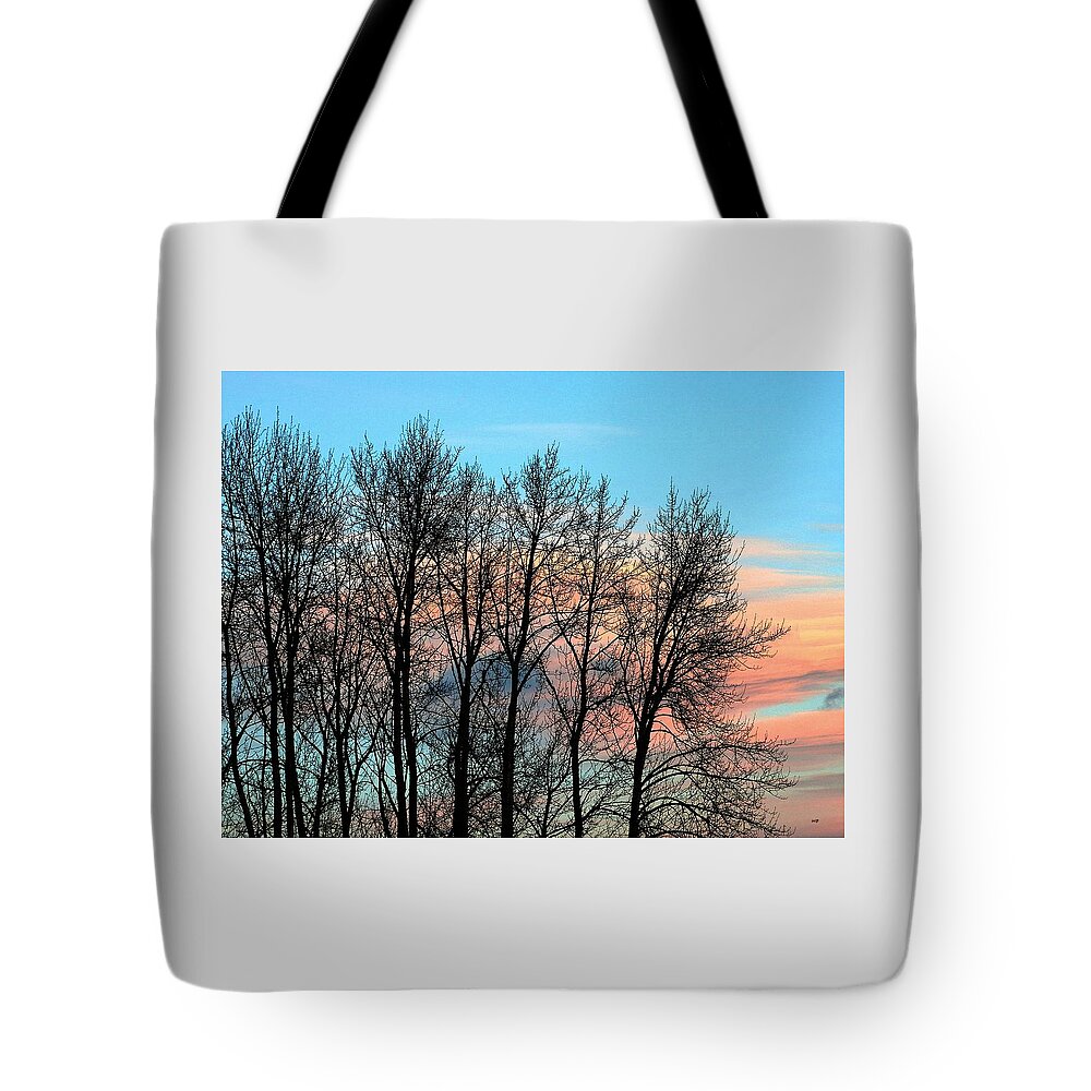 Sundown Tote Bag featuring the photograph Eventide by Will Borden