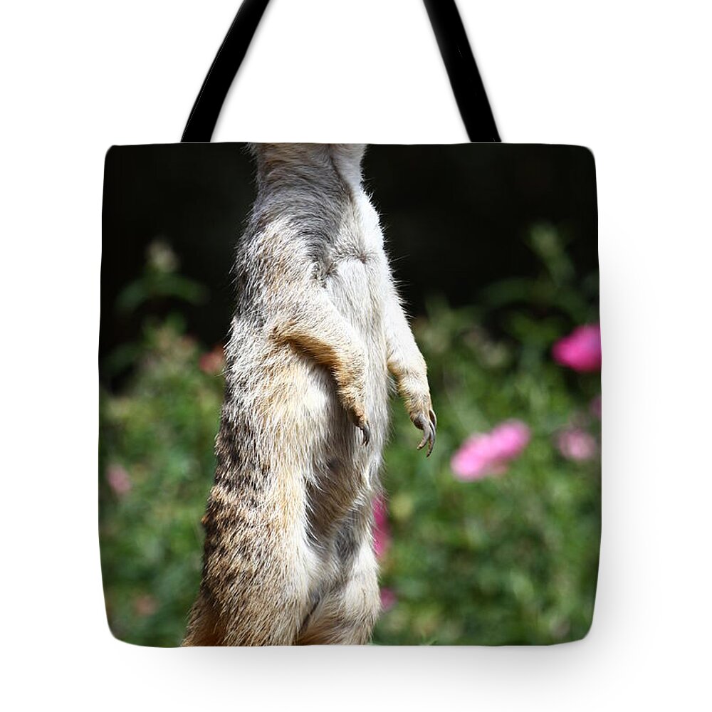 Meerkat Tote Bag featuring the photograph Ever Watchful Meerkat by Tony Lee