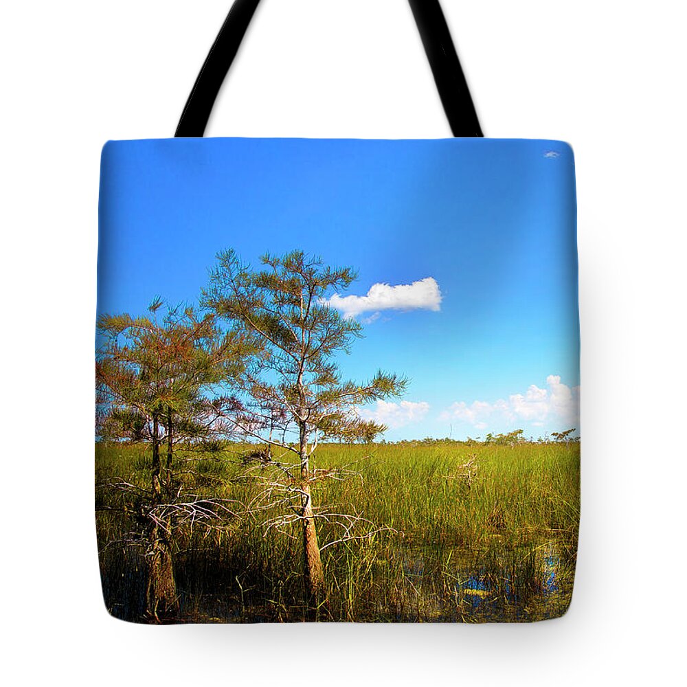 Everglades Tote Bag featuring the photograph Everglades 1909 by Rudy Umans