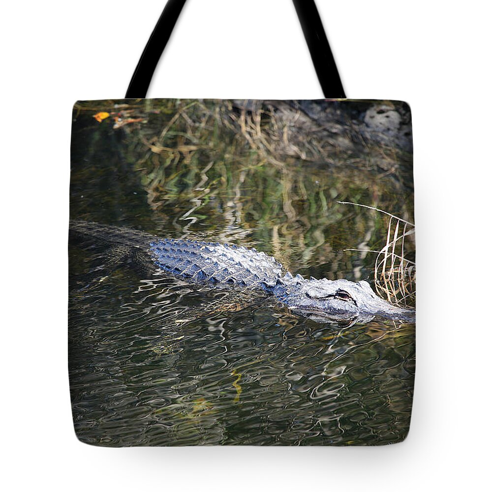 Alligator Tote Bag featuring the photograph Everglades Alligator by Custom Aviation Art
