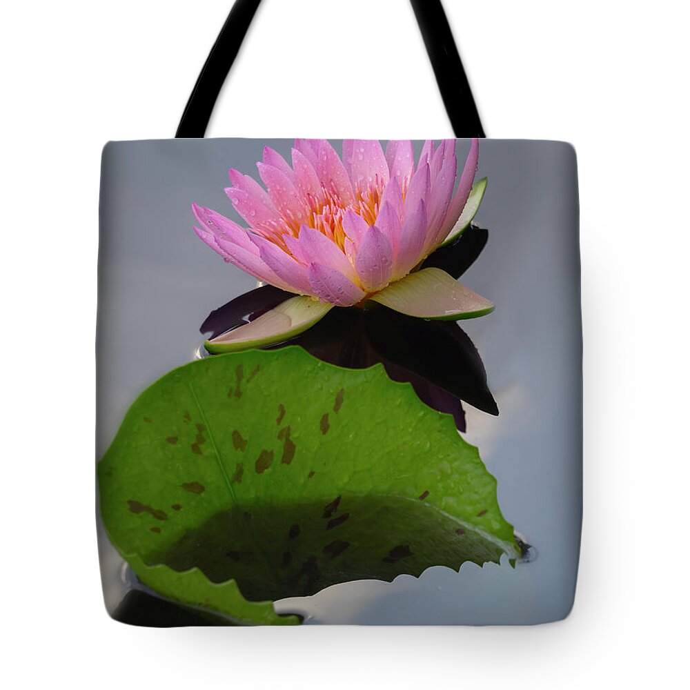 Summer Tote Bag featuring the photograph Existing together. by Usha Peddamatham