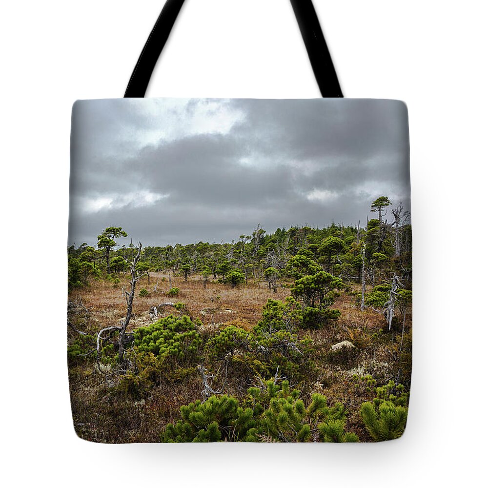 Alex Lyubar Tote Bag featuring the photograph Exotic Forest on a Bog  by Alex Lyubar