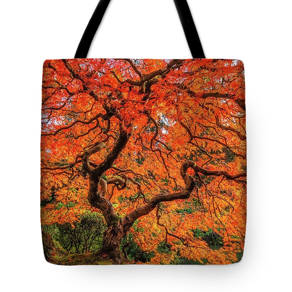 Portland Tote Bag featuring the photograph An Explosion of Color by Patrick Campbell