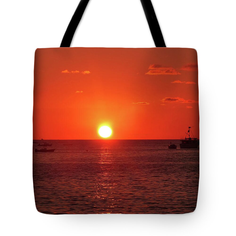 Silhouettes Tote Bag featuring the photograph Exquisitely Red by Rosanne Licciardi