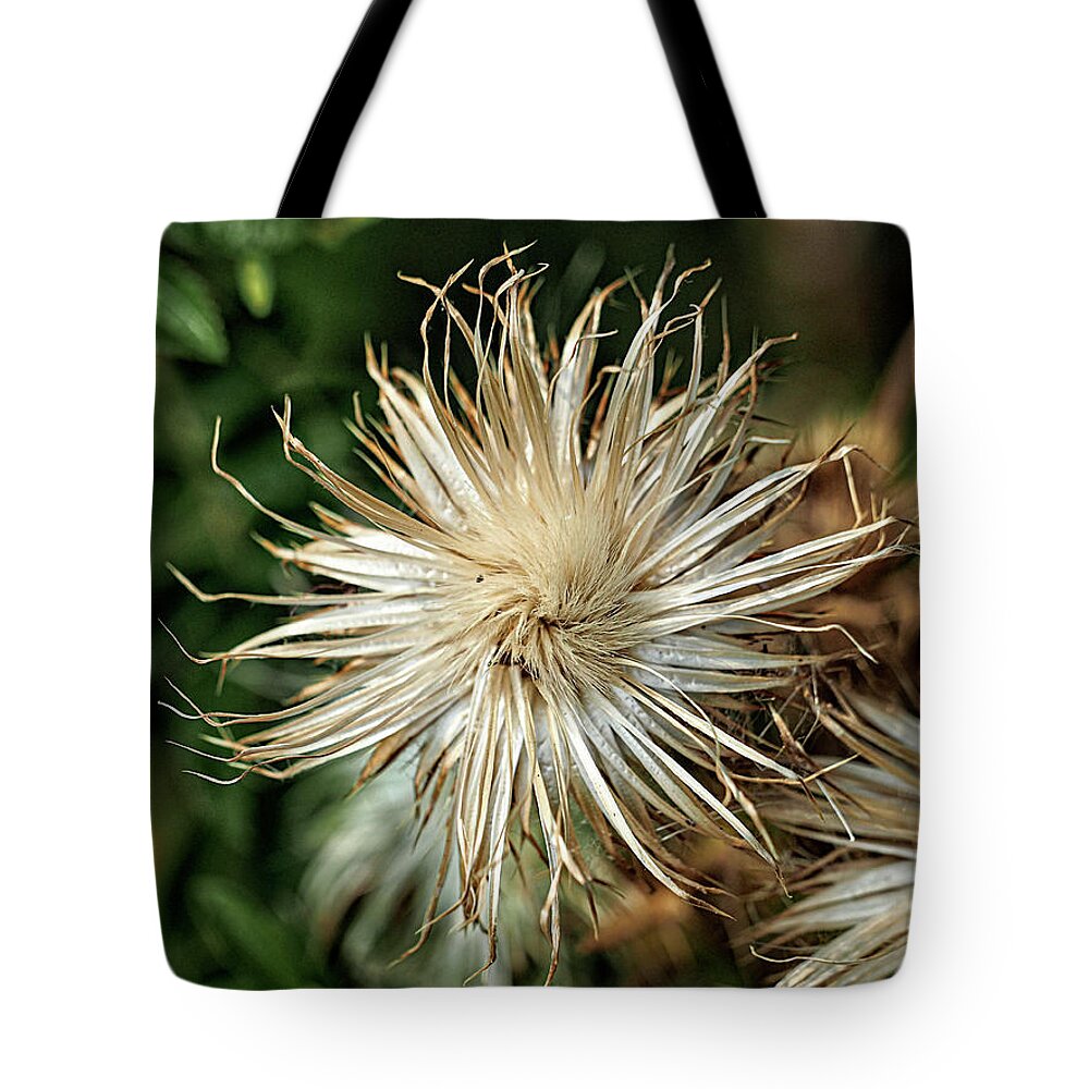Nature Tote Bag featuring the photograph Face in Tree 17 by Rebecca Dru