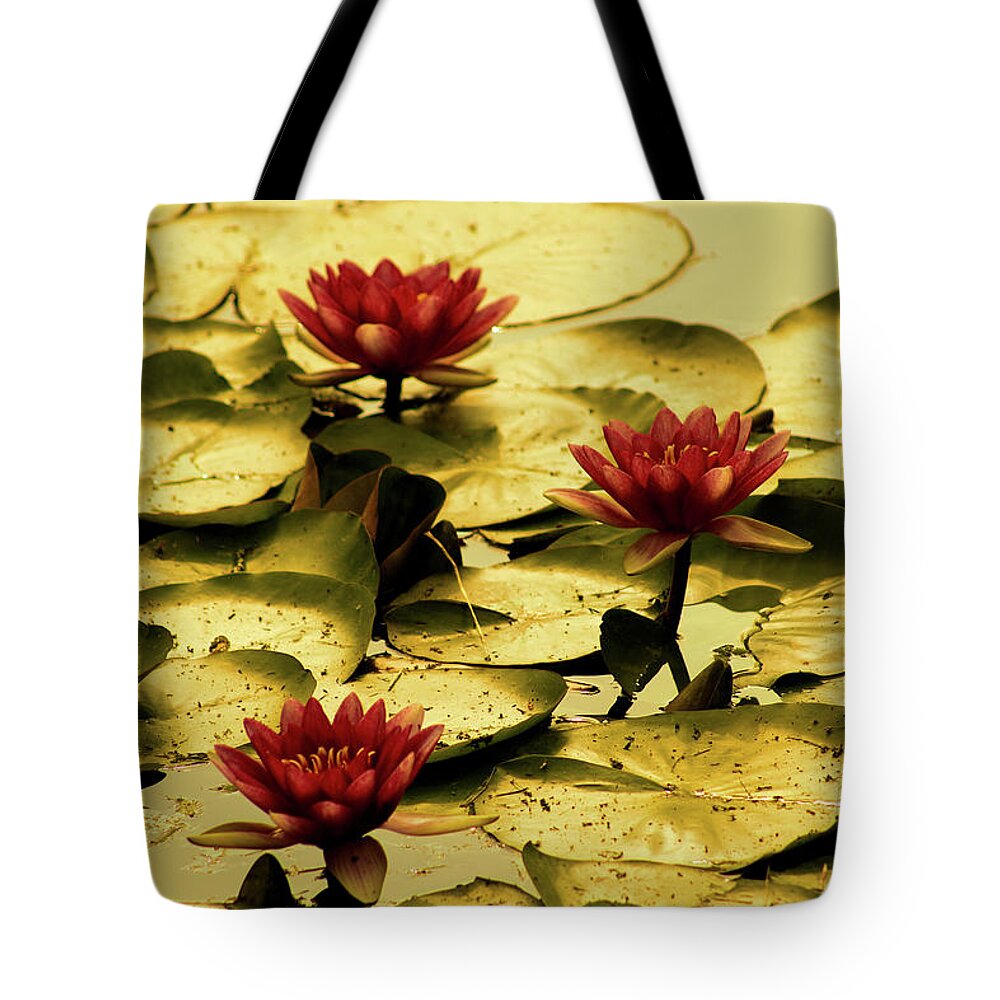 Pond Tote Bag featuring the photograph Fading of Summer by Christopher Reed