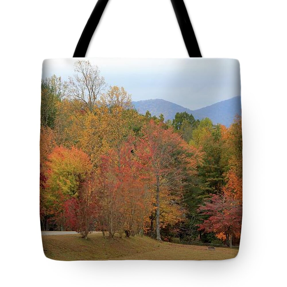 Fairgrounds Hiwassee Tote Bag featuring the photograph Fairgrounds - Hiwassee GA by Jerry Battle