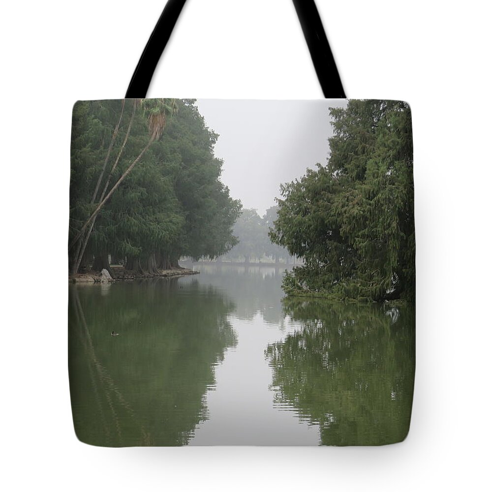  Tote Bag featuring the pyrography Fairmount Park by Raymond Fernandez