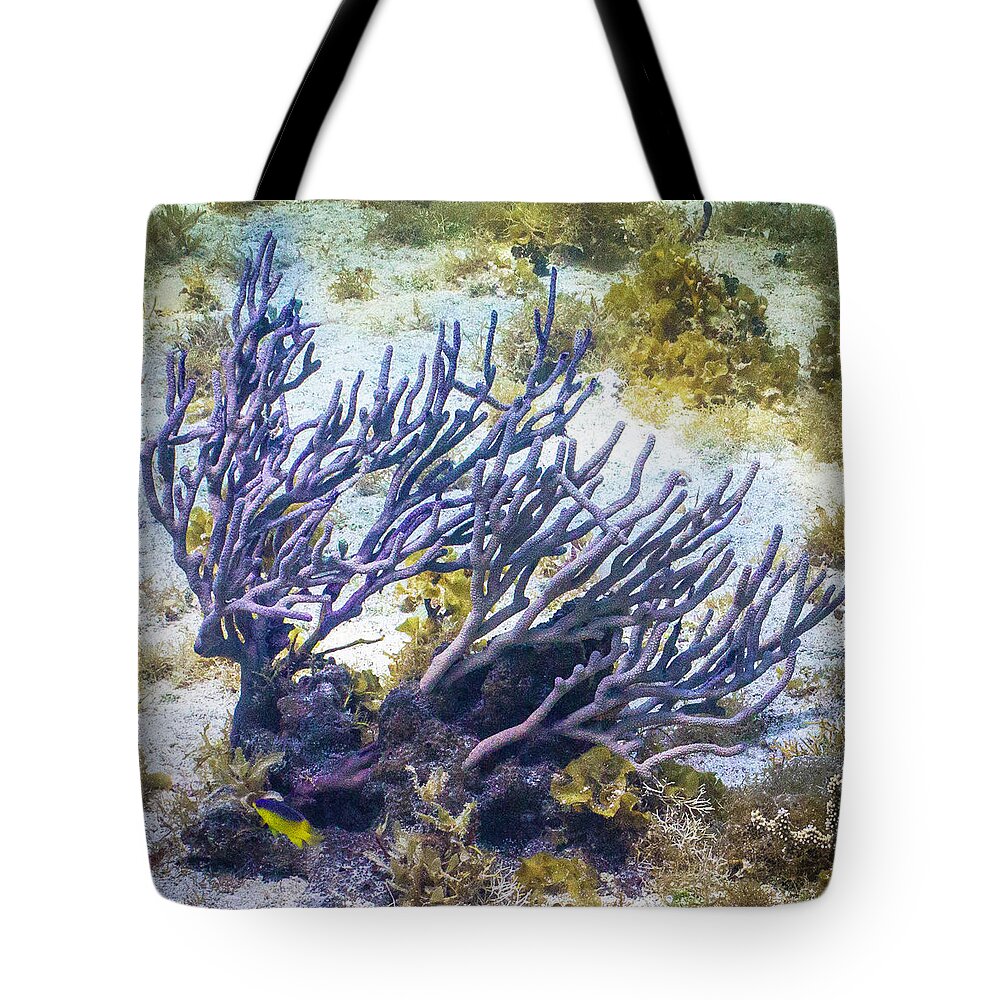 Fish Tote Bag featuring the photograph Fairytail Land by Lynne Browne