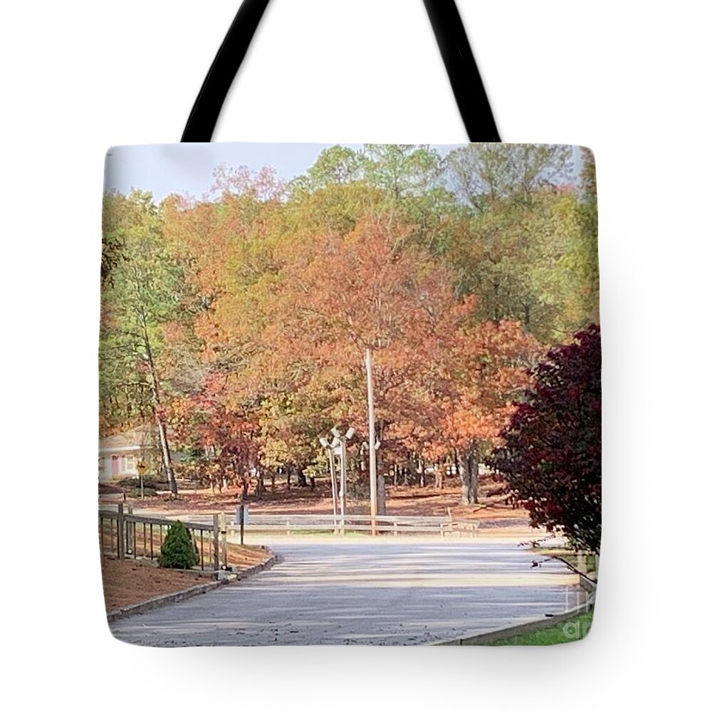 Fall Tote Bag featuring the photograph Fall at Park by Catherine Wilson