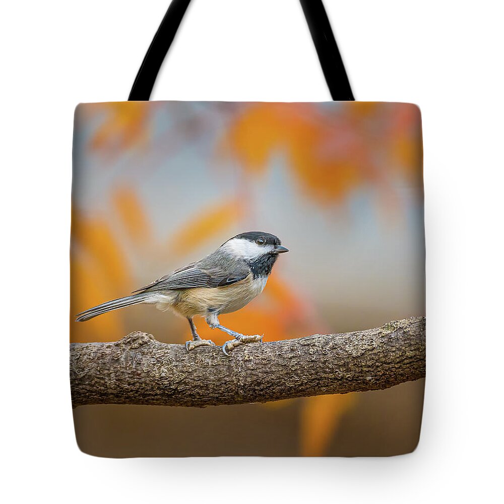 Chickadee Tote Bag featuring the photograph Fall Chickadee by David Downs