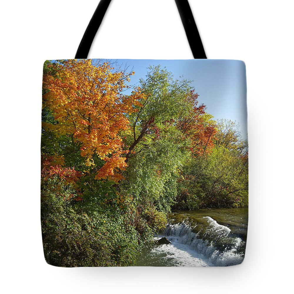 Fall Tote Bag featuring the photograph Fall Color by Deborah Ritch