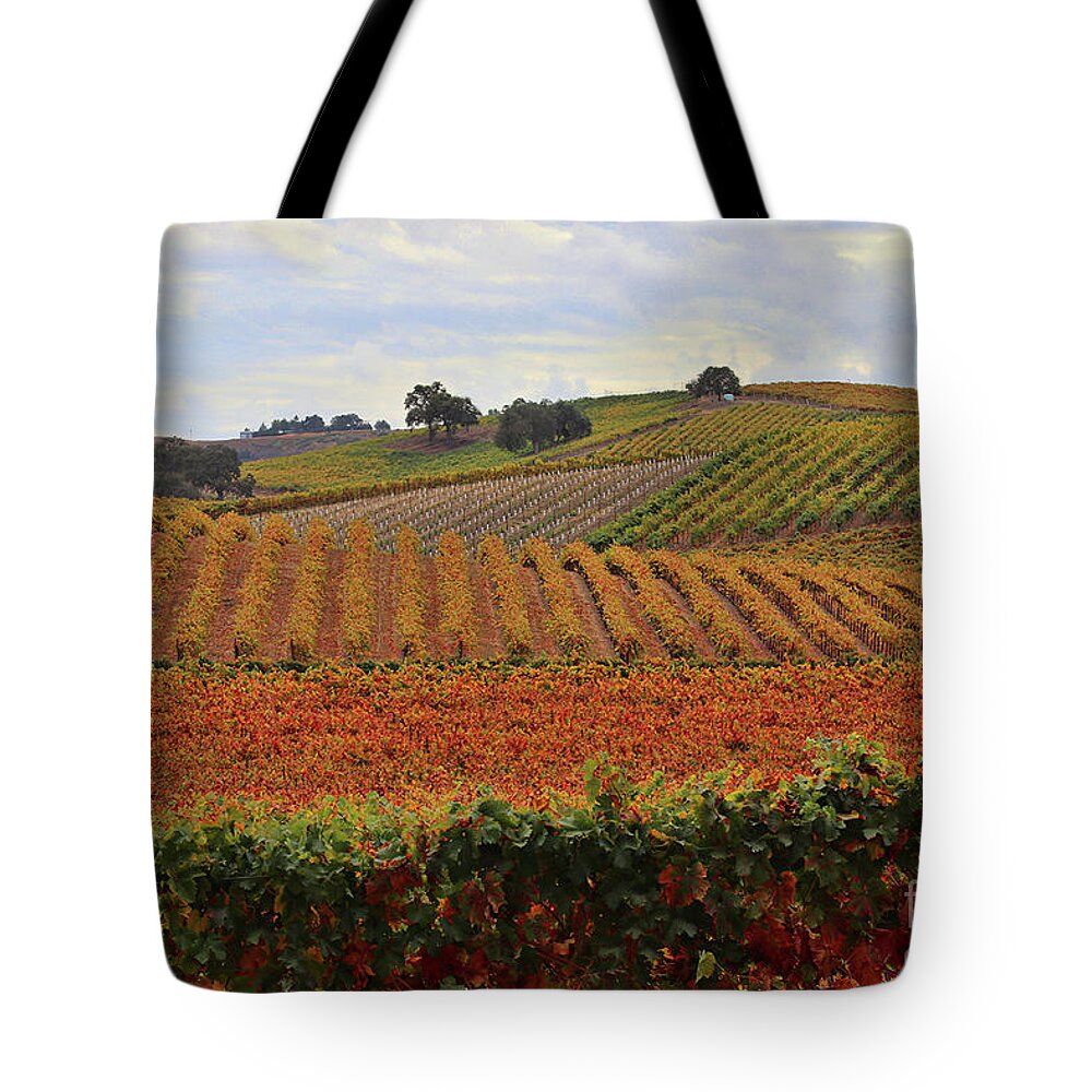 Wine Tote Bag featuring the photograph Fall Colored VIneyard Paso Robles California Wine Country by Stephanie Laird