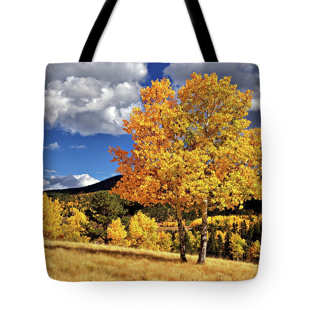 Aspens Tote Bag featuring the photograph Fall Colors by Bob Falcone
