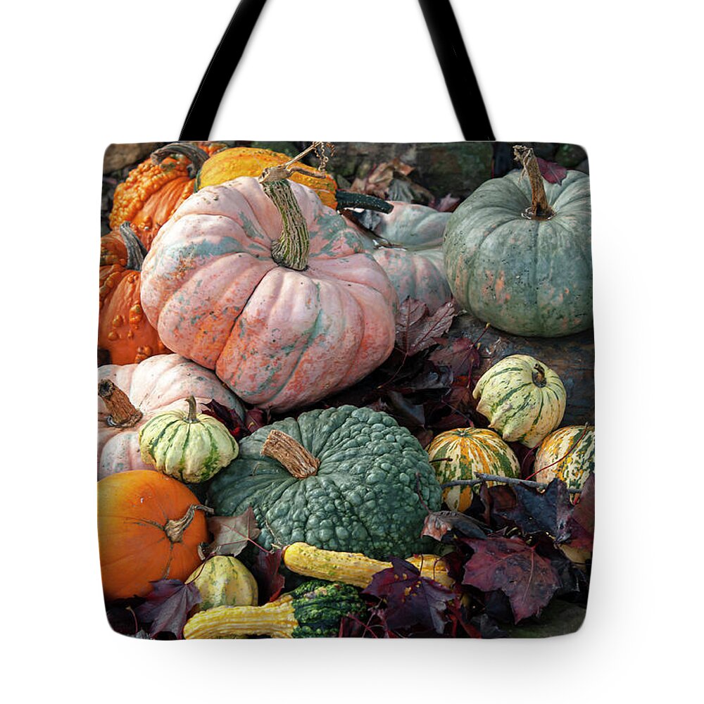 Jenny Rainbow Fine Art Photography Tote Bag featuring the photograph Fall Display with Colorful Ornamental Gourds And Pumpkins 1 by Jenny Rainbow